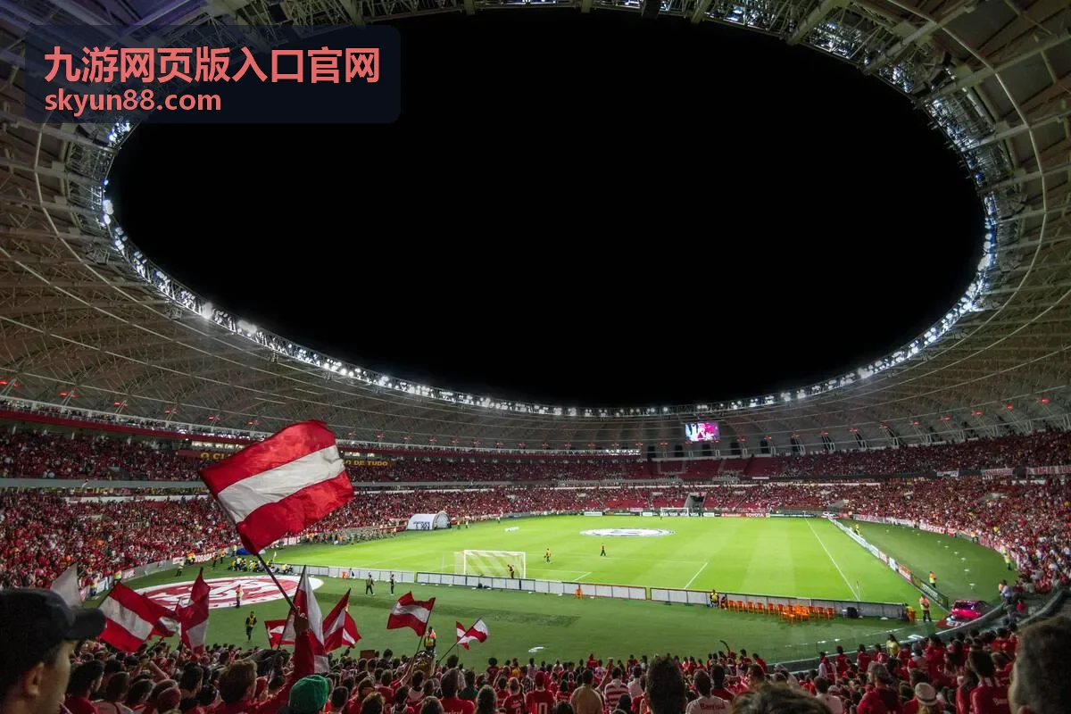 九游网页版入口官网登录验证排查配图